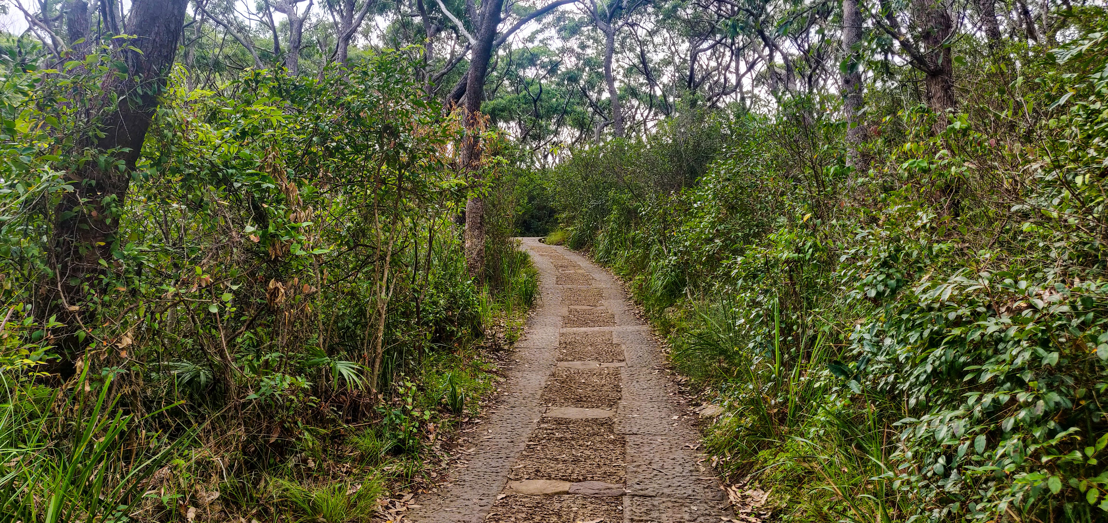 Barrenjoey Lighthouse Walk Access Trail